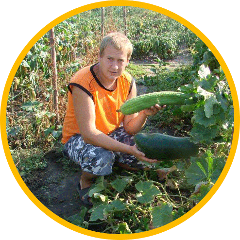 Выращивание восковой тыквы в Украине