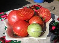 семена розовых томатов